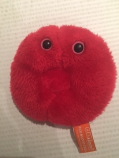 red blood cell, erythrocyte